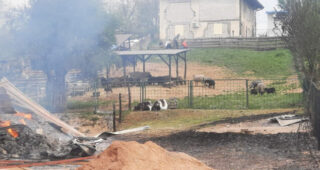 Foto/Vatrena stihija progutala farmu kod Lukavca: Stoka u stampedu bježala od požara