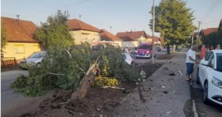 Nesreća u Banjoj Luci: Drvo se obrušilo na automobil, dvije osobe povrijeđene